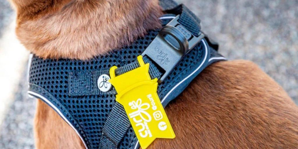 Gule bånd udbredes blandt danske hunde: Her er den særlige betydning