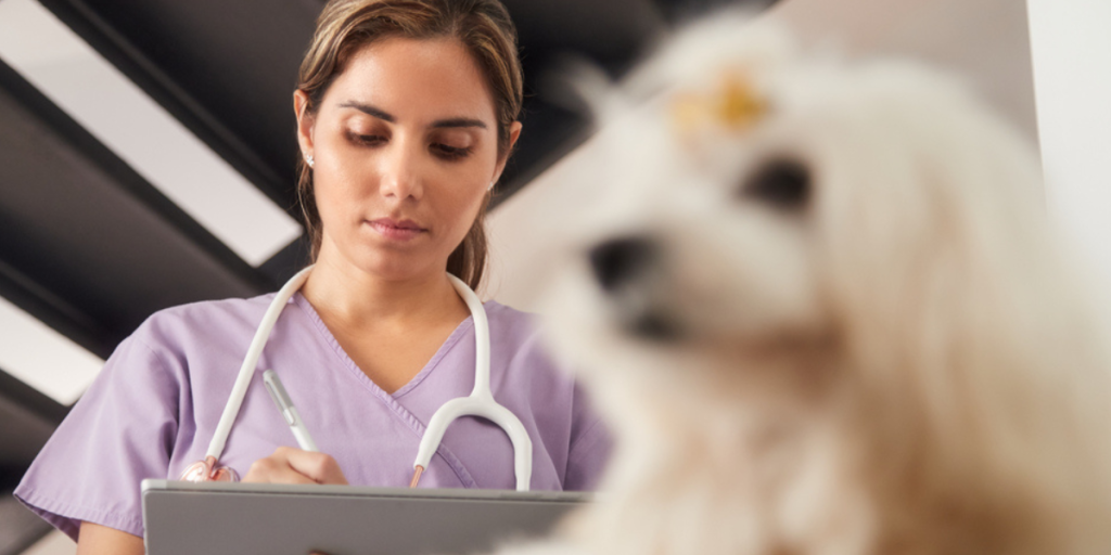 Jobber kvinner «gratis» resten av året? SSB mener svaret vil overraske deg