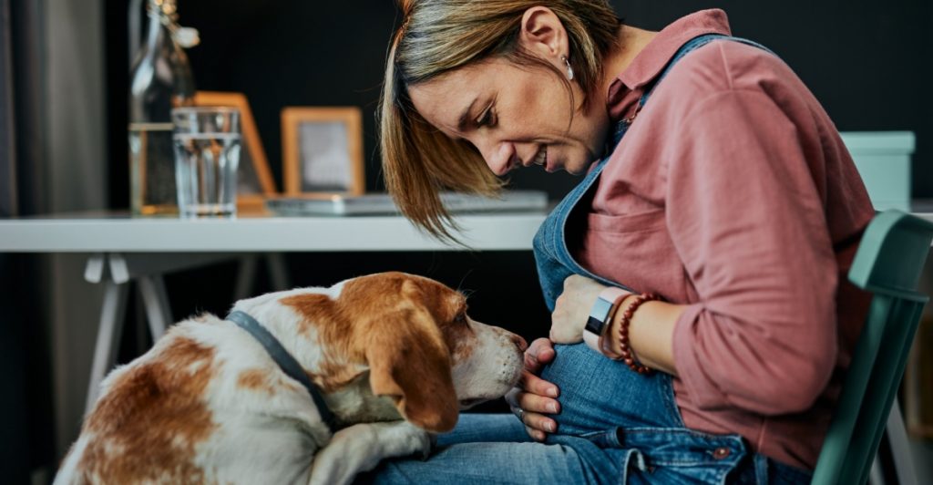 Pregnant woman and dog
