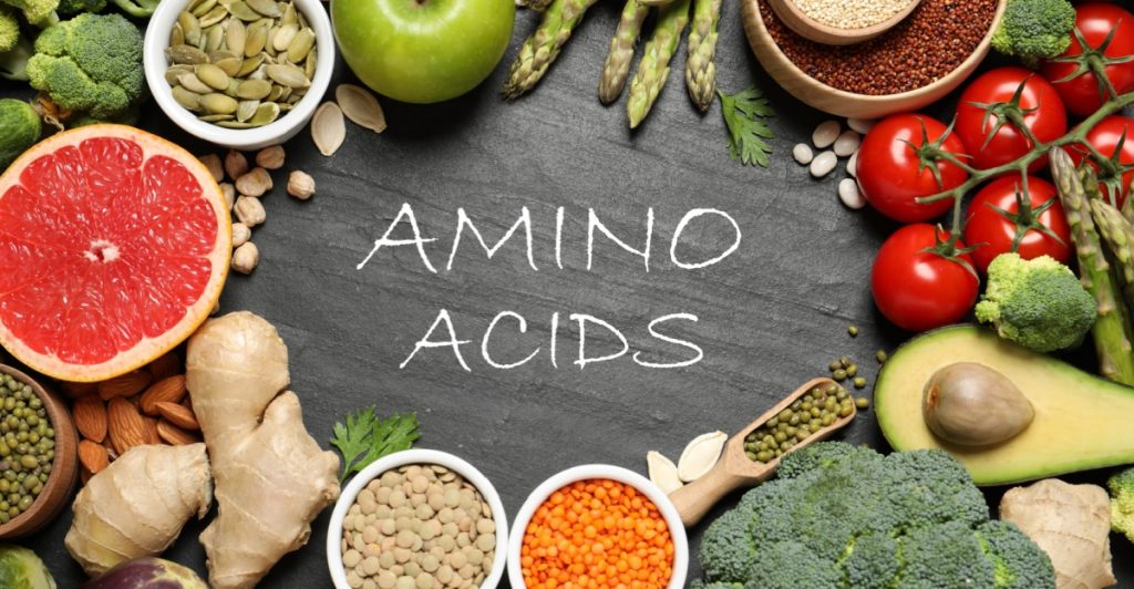 Amino acids, aminosyra