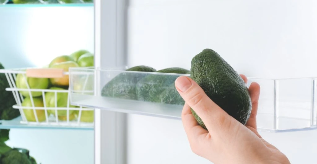 Avocado