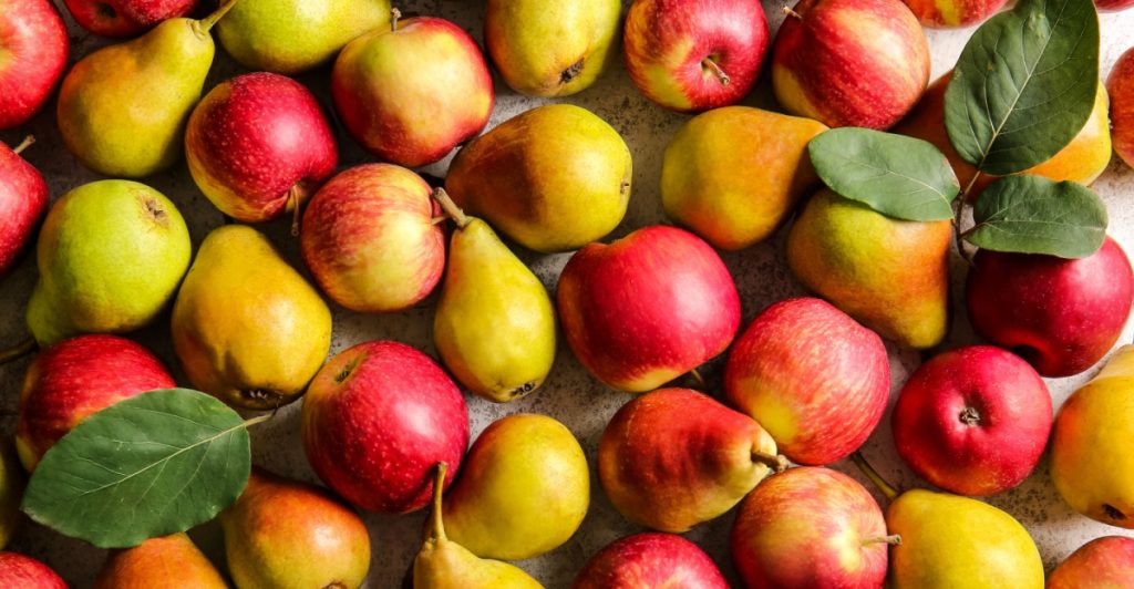 Apples and pears, apple, pear