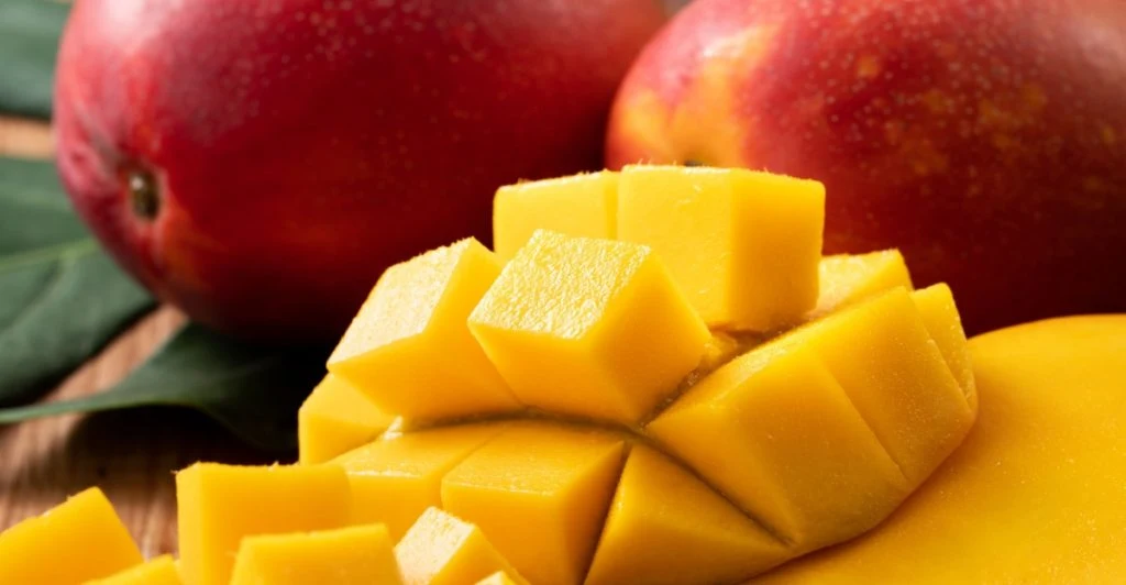 Mango fruit