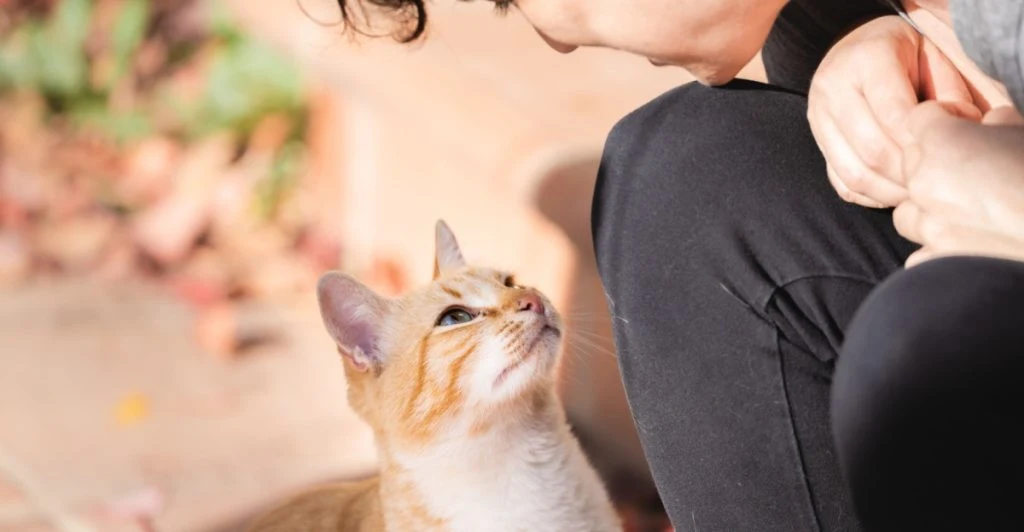 cat owner