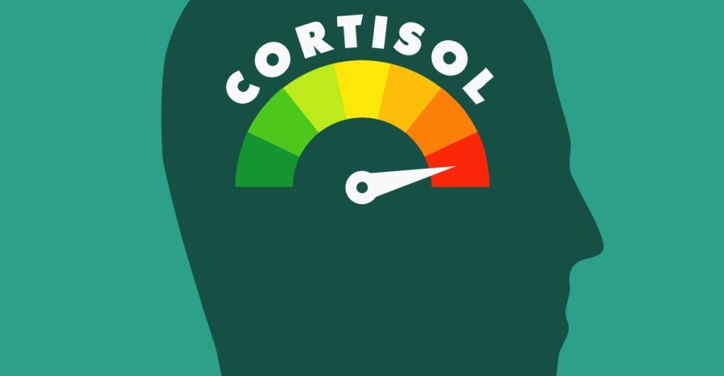 Cortisol