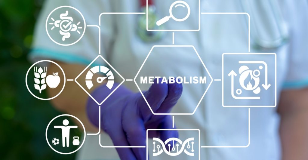 Metabolism