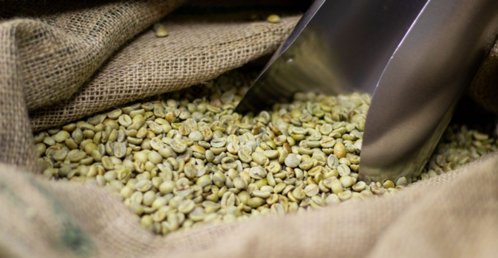 Green coffee beans