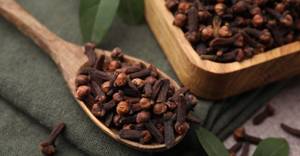 Clove, kryddnejlika