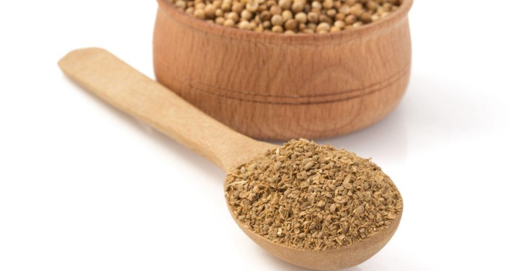 Coriander spice, koriander, krydderi