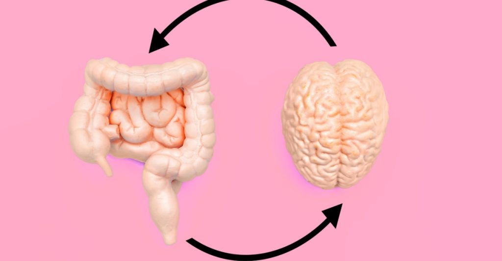 Gut health, brain