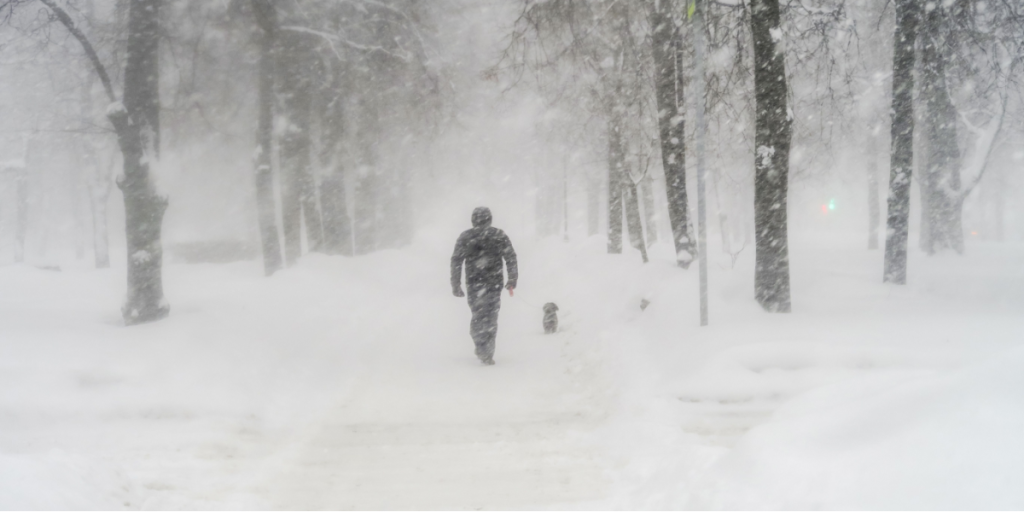 Blizzard, snow, winter