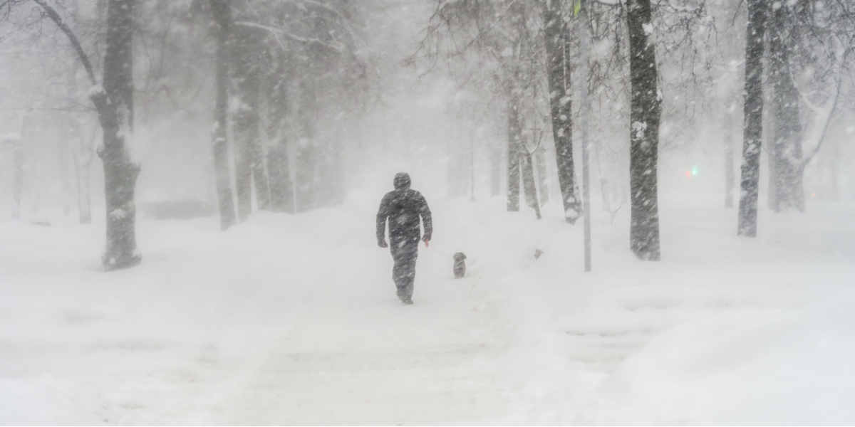 Uk Set For Arctic Snow Blast Next Week