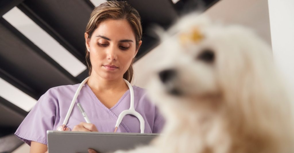 Veterinär, veterinary