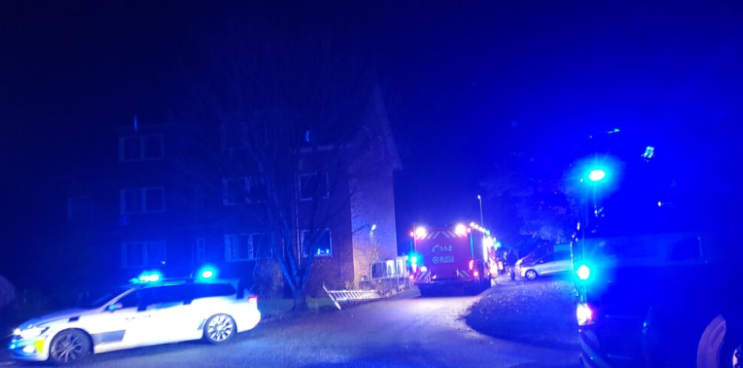 Menneskets bedste ven: Hund redder kvinde fra døden