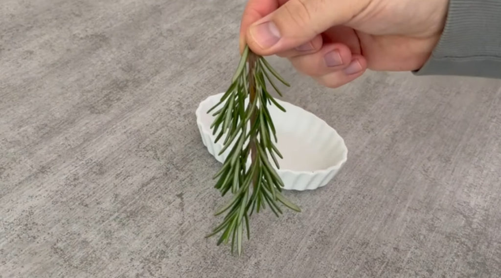 Hånd, Rosmarin, Trick