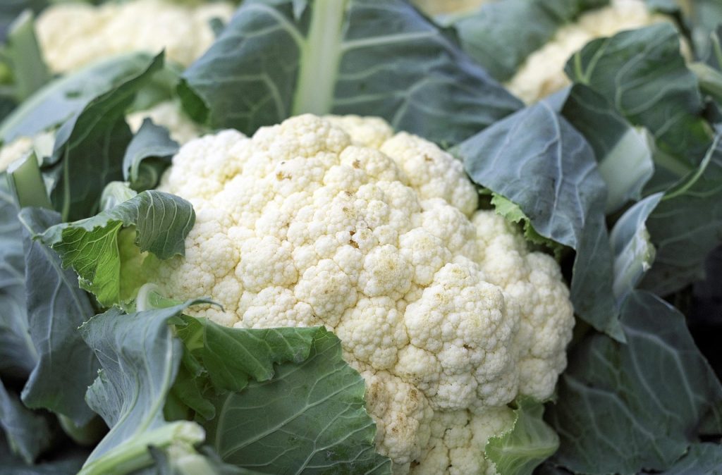 cauliflower, blomkål