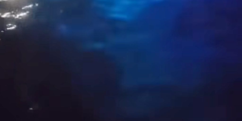 Fiskere spotter noget i vandet og tænder kameraet: Så dukker noget mystisk op