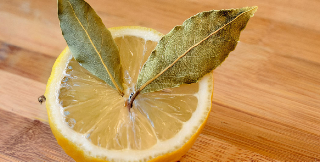 Ta en sitron, stikk laurbærblader i den og sett den på soverommet: Morgenen etter vil du takke deg selv