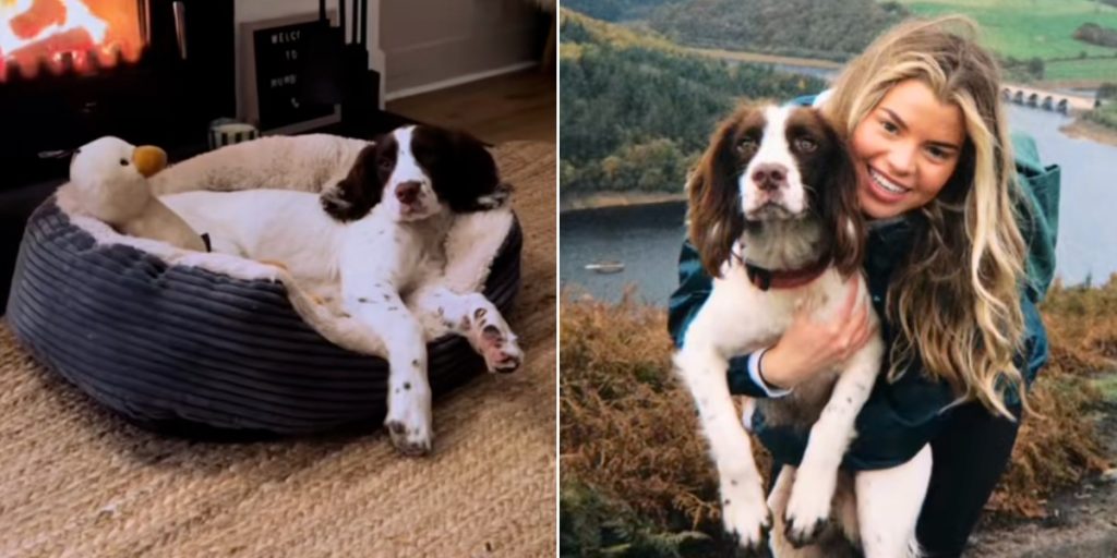 Ellie mistede sin hvalp efter helt almindelig gåtur: Nu deler hun en vigtig advarsel