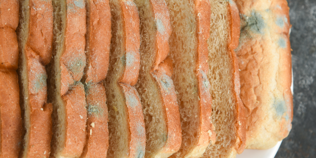 Mug, Mould, Brød, Bread