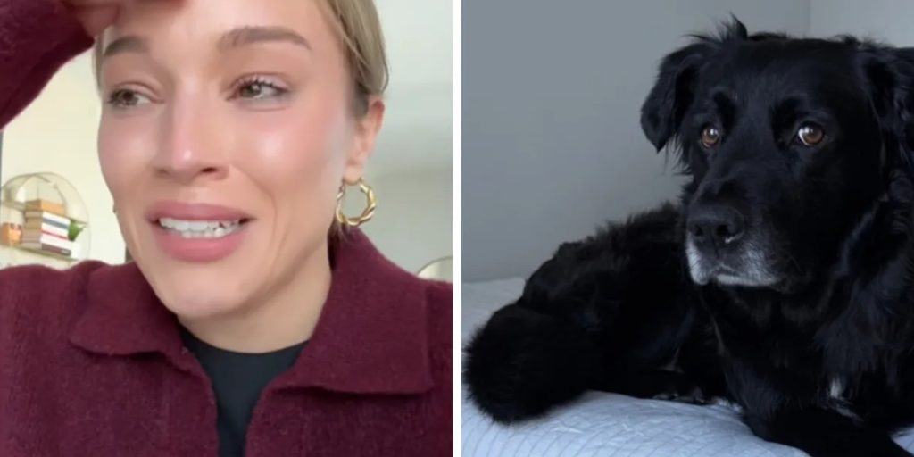 Kvinde valgte at blive plejemor for hund: Kun 2 dage efter gik det ‘helt galt’