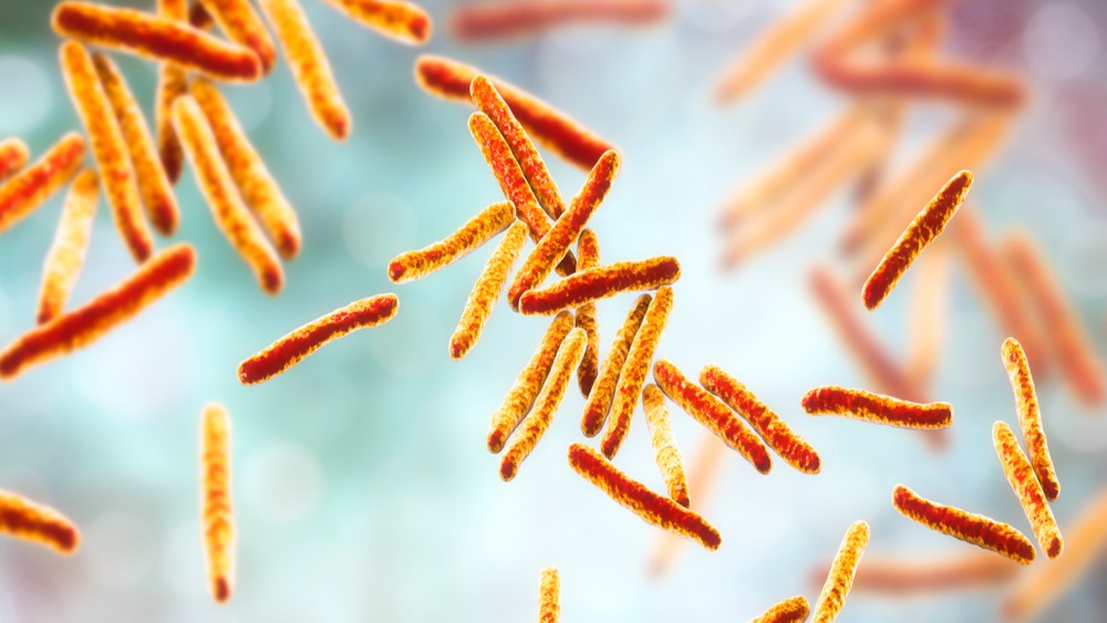 Dødelig sygdom slår over en million ihjel om året: Potentiel kur på vej