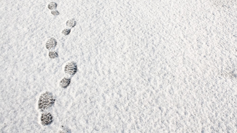 sne snow footprints fodspor