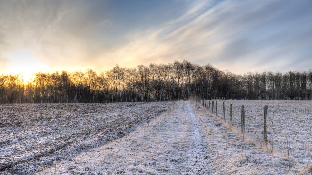 frost vejr dmi sol sne