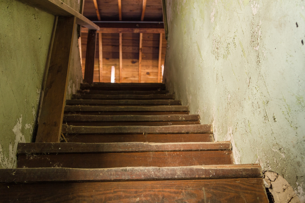 kælder,dunkel,uhyggelig,