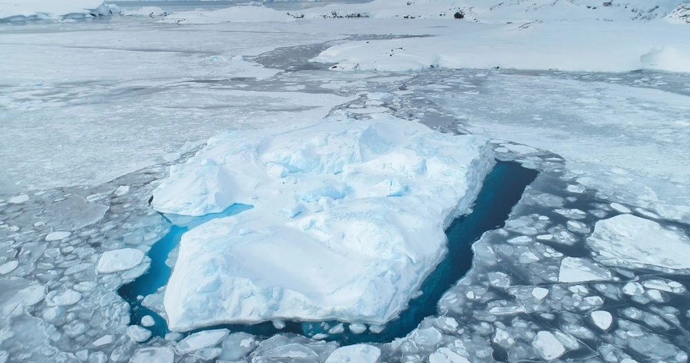 Arktis-Arctic