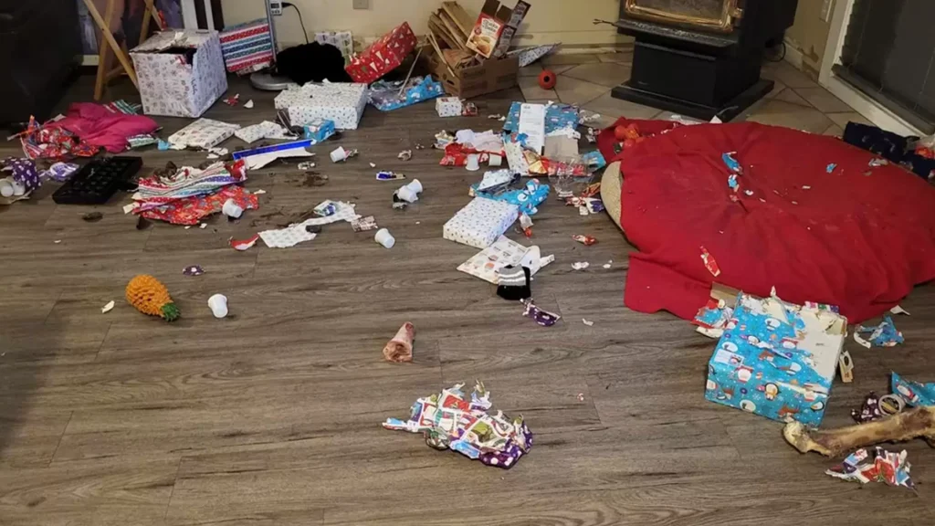 Familie kommer hjem og ser alle julegavene deres åpnet: De hadde aldri forventet hvem tyven var