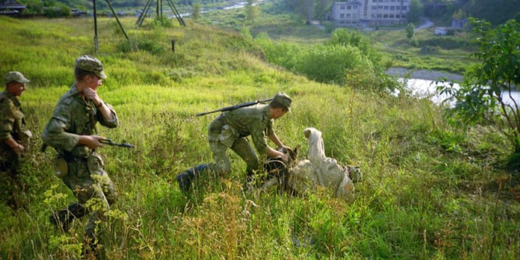 russia border exercise near estonia