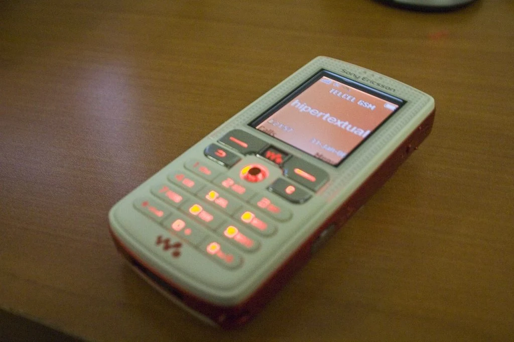 Sony Ericsson W800i
