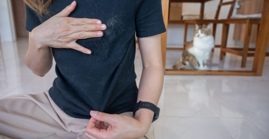 Smarta knep mot djurhår: Så får du kläderna rena snabbt