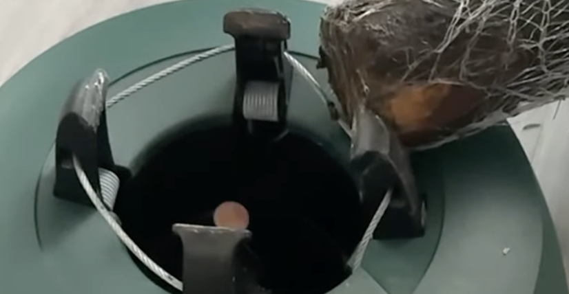 Han lægger en mønt ned i juletræsfoden: Når du ser hvorfor, vil du gøre det samme