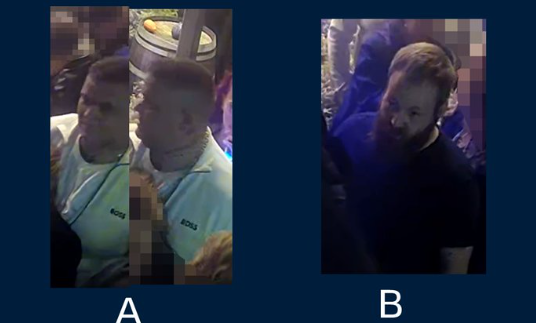 Politiet beder danskerne om hjælp efter voldssag: Har du set disse to mænd?