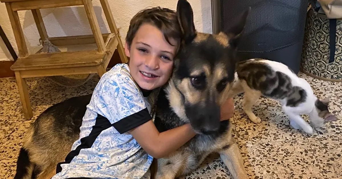 Knust bedstemor hævder: 13-årig døde i forsøg på at beskytte mor