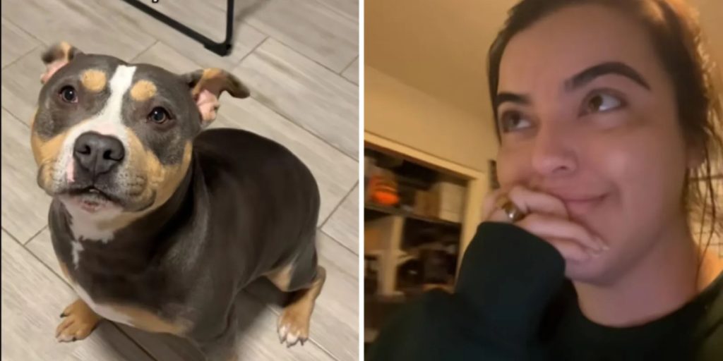 Kvinde er forvirret over, hvorfor hundens pels er så glansfuld: Så indser hun, hvad kæresten har gjort