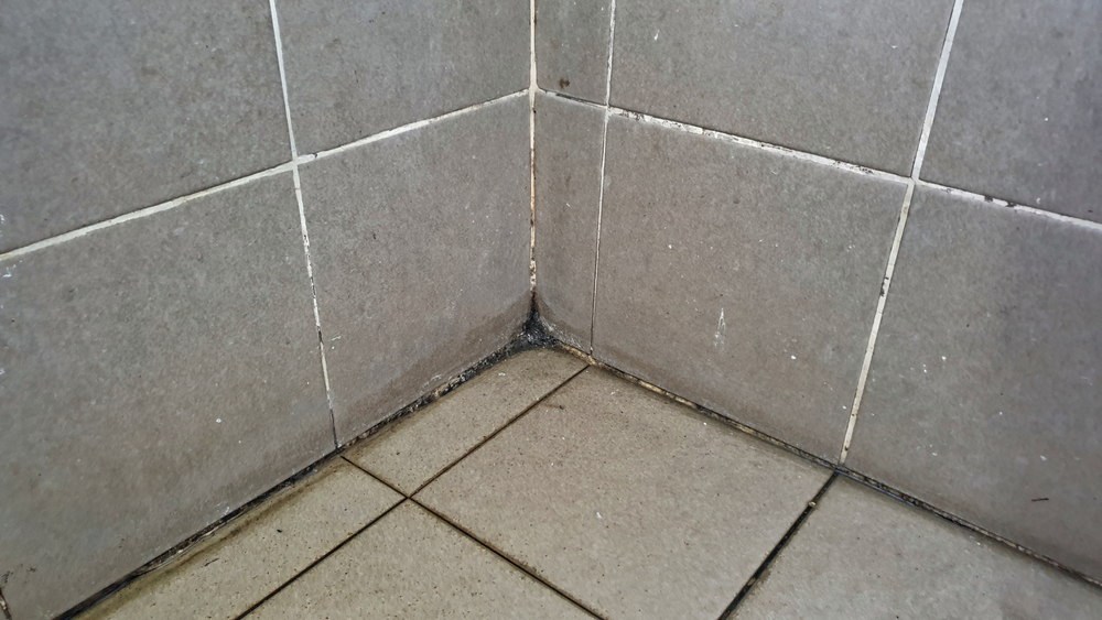 Enkelt rengöringsknep som känns som magi: Så får du badrumsfogar rena i ett nafs