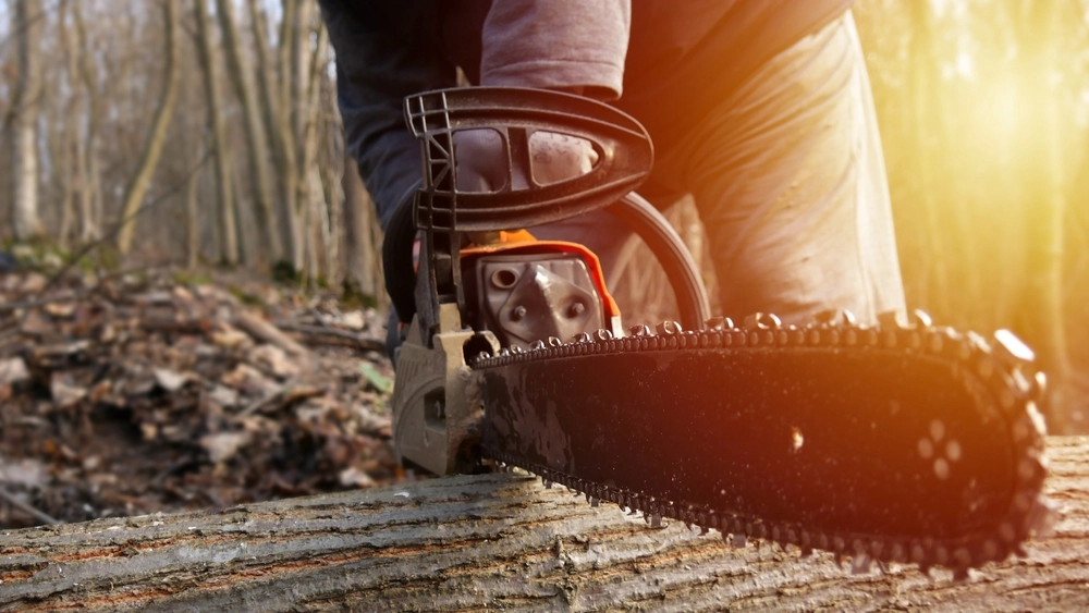 Motorsaven som offentlig ressource: Når skov, sikkerhed og arbejdsmiljø mødes