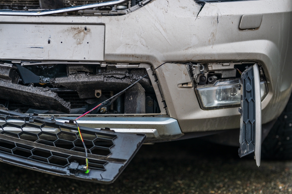 Ødelagt bil, Roadkill, Dyr