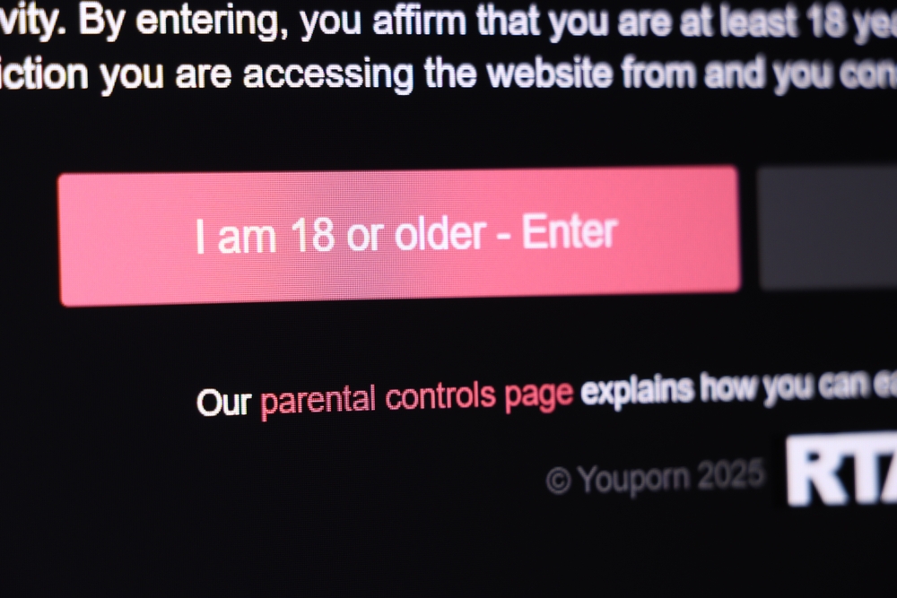 porno,voksenside,hjemmeside,