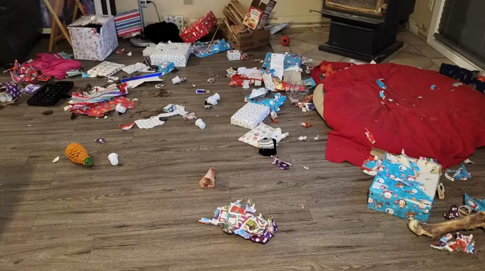 Familie kommer hjem og ser alle deres julegaver åbnet: ‘Tyven’ fandt de hurtigt