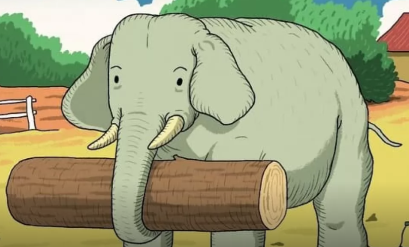 Mange har prøvd å finne hesten på bildet, men få kan se den