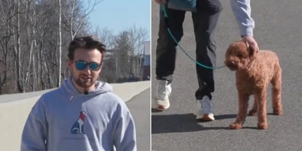 Hundetræner afslører 3 tips: Få din hund til at stoppe med at trække i snoren på få minutter