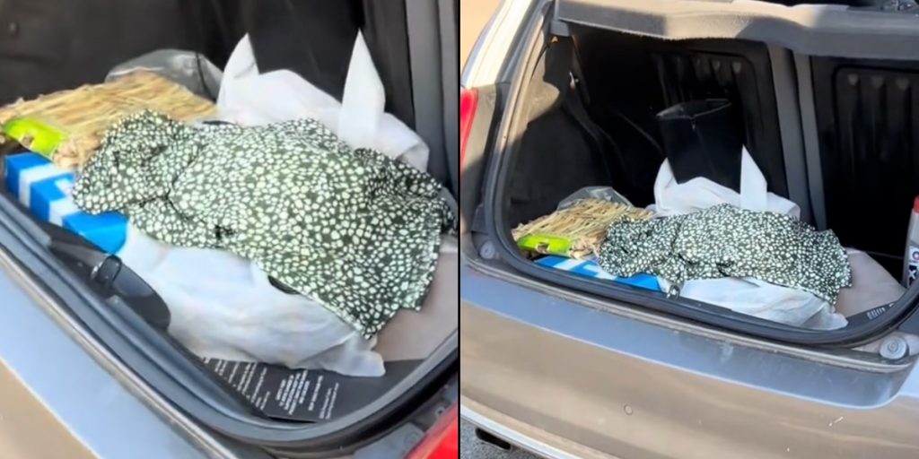 Kvinde hørte mærkelig lyd fra bagagerummet: Det hun fandt, fik hendes blod til at fryse til is