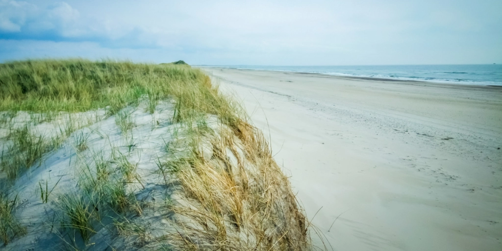 Livløs person fundet ved stranden: Nu er der nyt