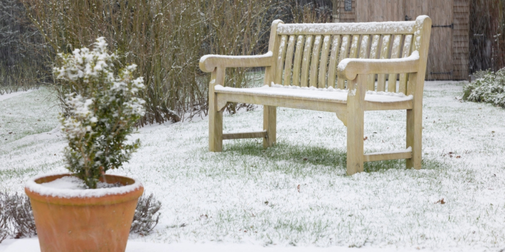 Ikke vent til våren: Dette bør gjøres i hagen i januar