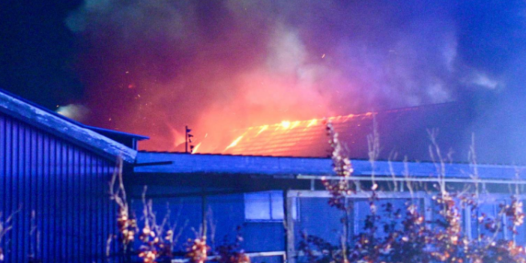 Stor stald i flammer: Dyr kan være i fare