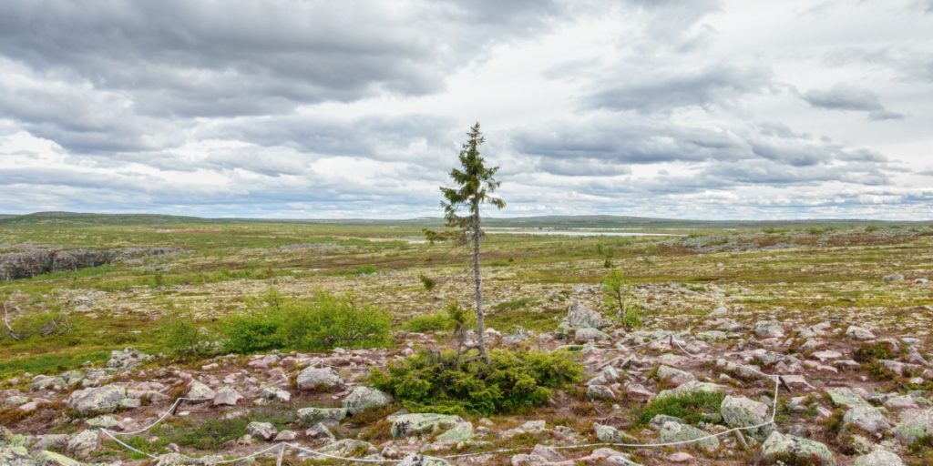 Milliardær købte landareal større end Fyn: Nu er hans identitet blevet afsløret